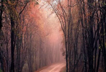 克洛普现场观看了德国杯半决赛，但莱比锡输球无缘决赛.