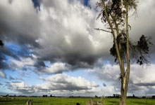 [CBA]库克突破上篮不进 沃特补篮压哨命中.