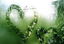 28圈官网：郭晶晶的清醒人生：豪门困不住＂大女主＂.