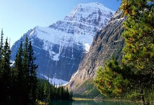 贴脸开大！球迷在爱奇艺体育线下直播中问能不能免费直播国足.